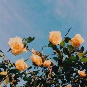 ❤️❤️Hey everyone!!❤️❤️